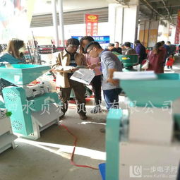 高产量玉米碴子机 高效加工，助力食品产业升级