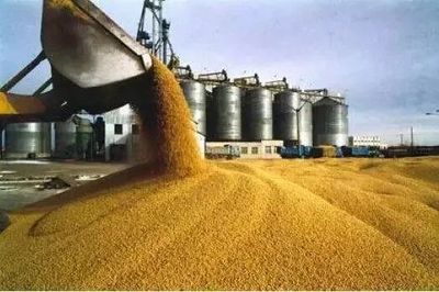 中美贸易摩擦升级 从大盘鸡到手机，产业链的连锁阵痛