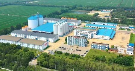 盘锦好粮香飘四海，盛会让利惠聚八方——探访粮食加工食品产业的“沃土”